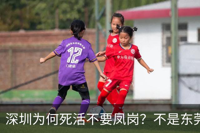 深圳为何死活不要凤岗？不是东莞小气，是中央态度变了